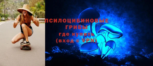 стаф Козельск