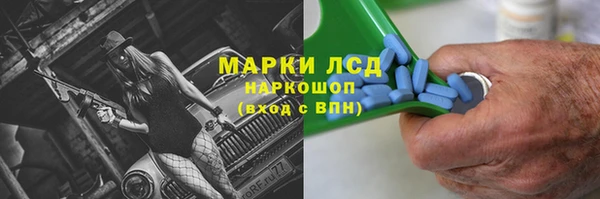 стаф Козельск
