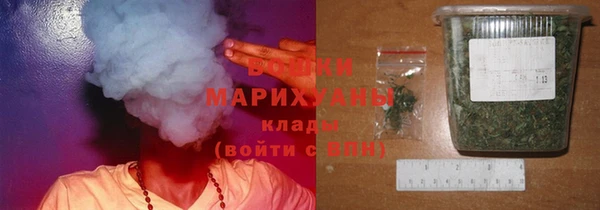 стаф Козельск
