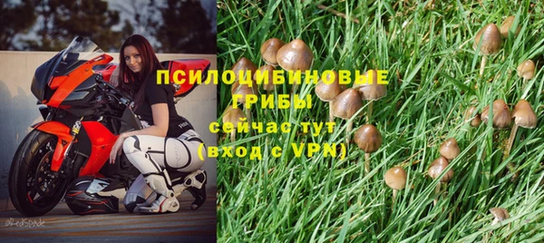первитин Кодинск