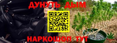 дурь Жуковский