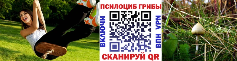 Псилоцибиновые грибы Psilocybine cubensis  Когалым 