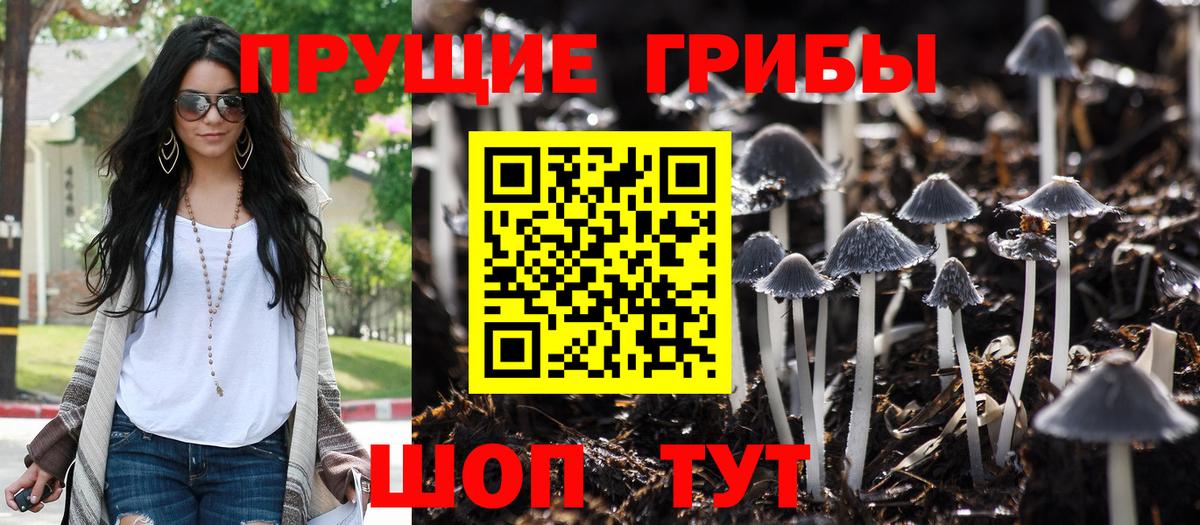 Псилоцибиновые грибы прущие грибы  Псилоцибиновые грибы прущие грибы  Вход с VPN  хочу   Когалым 
