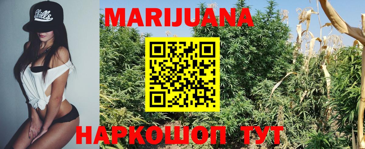 Бошки Шишки VHQ  Бошки марихуана планчик  Когалым  Канабис SATIVA & INDICA  Вход с VPN 